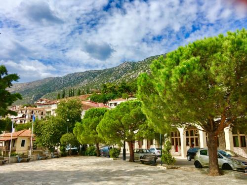 Delfoi Apartment | Explore Delphi's Penthouse with Panoramic Ocean Views