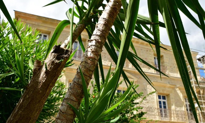 Neffies Bed & Breakfast | Perfect Retreat at Demeure de Sainte Clotilde for Celebrations