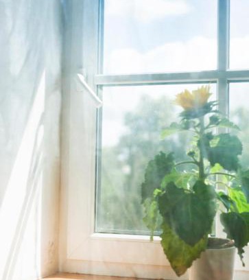Saldus Hotel | Discover Demians: Family-Friendly with Delicious Breakfast