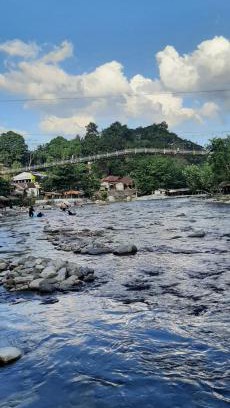 Bukit Lawang Hotel | Dendi guest house & orang utan explore