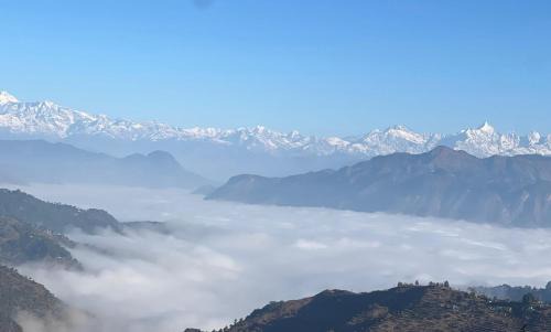 Champawat House | Pet-Friendly Deodar Abode: Guest Rated 10/10 Experience