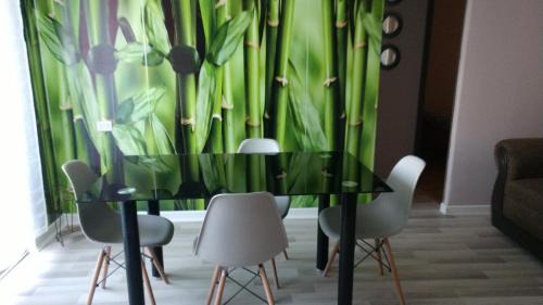 Los Andes Apartment | Cozy Departamento Los Andes - 9/10 Guest Rated Retreat