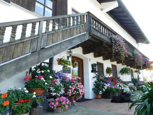 Bad Endorf Hotel | Experience Der Blankhof: Pet-Friendly Oceanfront Retreat