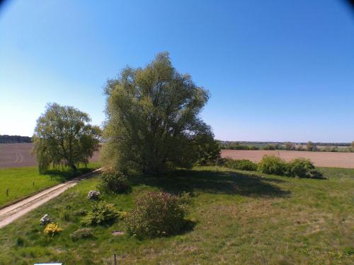 Stolpe Apartment | Pet-Friendly Retreat at Der Landhof Weide with Pool
