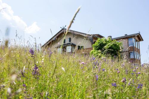 Redagno Hotel | Discover Der Zirmerhof: Pet-Friendly Oceanfront Retreat