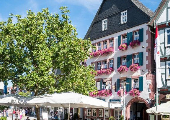 Bad Hersfeld Hotel | Discover derSTERN Hersfeld: Pool, Spa & Pet-Friendly Stay