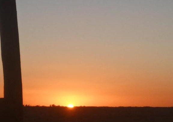 M'Hamid El Ghizlane Other | Pet-Friendly Haven at Desert Camp M'hamid for Families