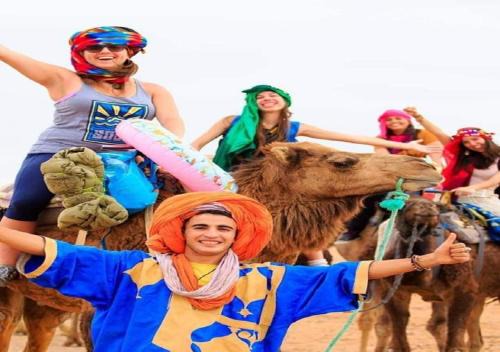 Merzouga Other | Experience Memorable Camel Trekkings with Family-Friendly Amenities