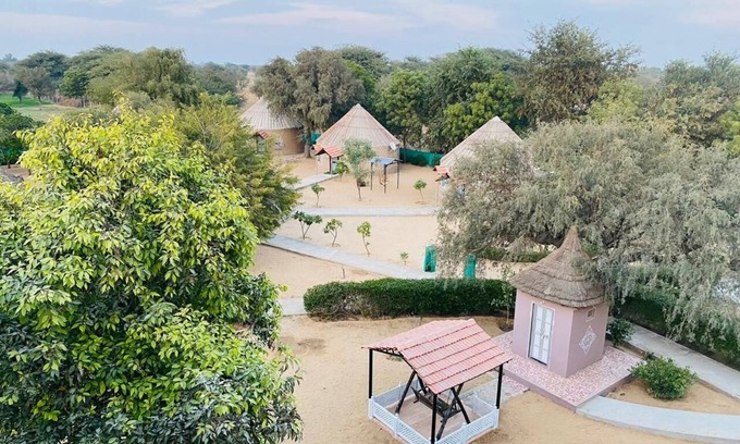 Shekhawati Hotel | Desert Nights: Family-Friendly Stay with Delicious Dining