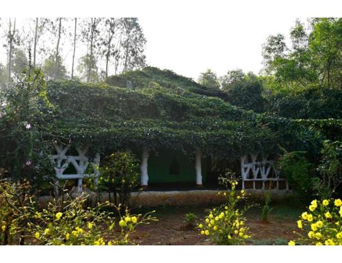 Koraput House | Desia Duduma, Puri