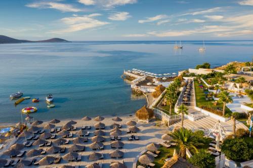 Alacati Resort | Experience Design Plus Seya Beach Hotel: Oceanfront Bliss