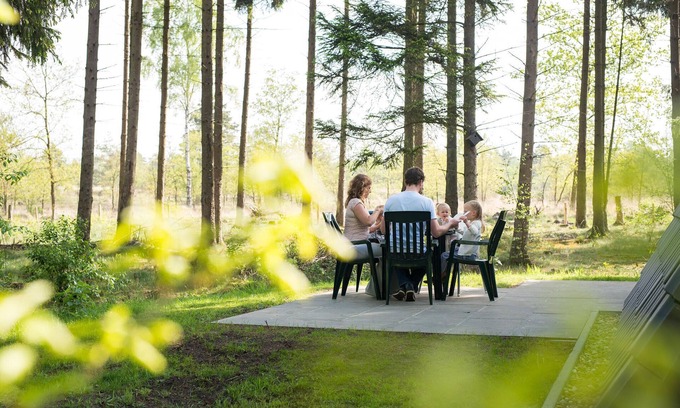 Bosgebied Hoenderloo House | Forest Villa Retreat with Pool and Kitchen at De Veluwe