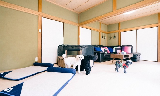 Kujukuri House | Private Guest House in Sambu-gun with Dog Run & Kitchen