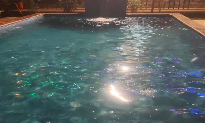 Gureghar Villa | Devansh Villa: Pet-Friendly Retreat with Pool & Breakfast