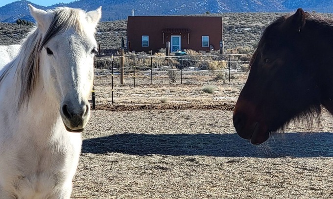 Ranchos De Taos House | Pet-Friendly Devine Casita with Breathtaking 360 Views