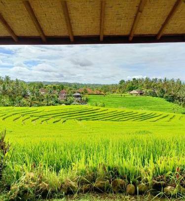 East Selemadeg House | Top-Rated Dewi Nara Guest House for Your Bali Retreat