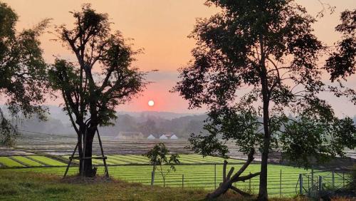 Huai Sai House | Pet-Friendly Haven at DGD Chiangmai with 9/10 Guest Rating
