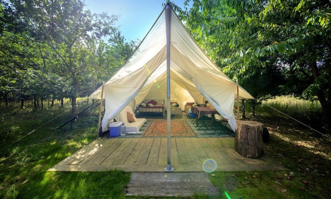 Blackford Other | Experience DGG Woodland Escape: Pet-Friendly & Cozy Retreat