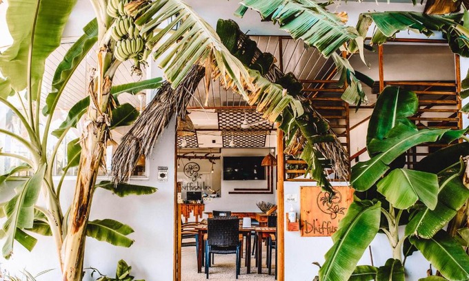 Dhiffushi House | Relax at Dhiffushi Inn: Beachfront Bliss & Pet Friendly
