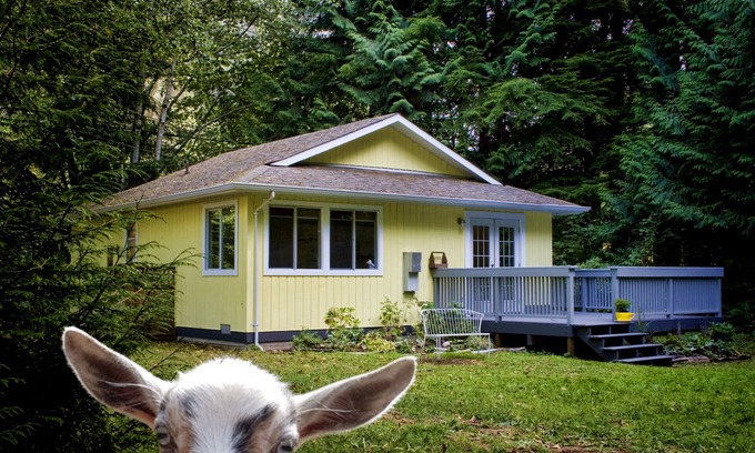 Juan de Fuca Electoral Area Cottage | Diamond Cottage: Oceanfront Bliss Near Sooke & Port Renfrew