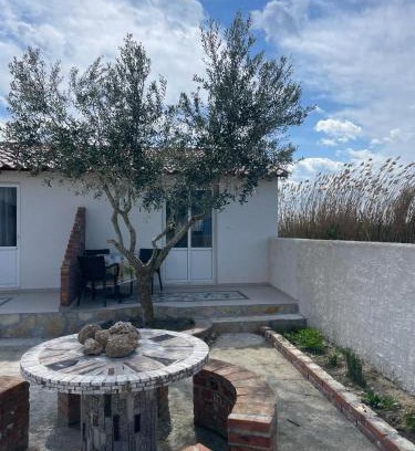 Fier House | Cozy Diarla's Home 4: Pet Friendly & Family Approved Stay