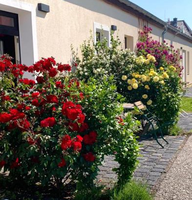Stotteritz Apartment | Cozy Studio Apartment with Terrace and Parking - Rated 9/10