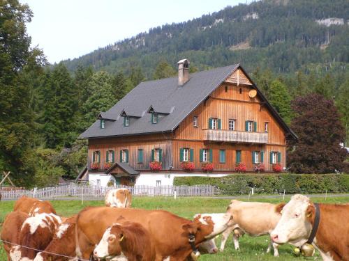 Bad Aussee Apartment | Die Traunmühle: Guest Rated 9.9, Pet and Child Friendly Stay