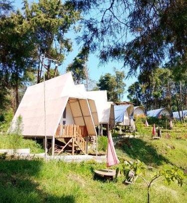 Dieng Kulon Other | Dieng glamping syari'ah