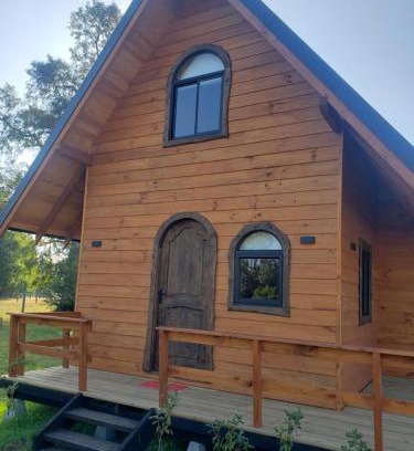 Villarrica Ski Chalet | Discover Digueñe Pedregoso: Pet-Friendly Ocean View Escape