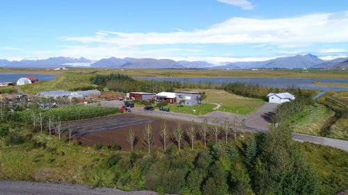 Hornafjörður House | Family-Friendly Retreat at Dilksnes Guesthouse - 8.6 Rating