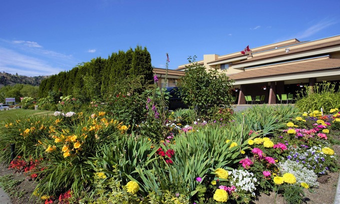 Dilworth Mountain Estates Hotel | Discover Comfort at Dilworth Inn: Pool, Spa & Family-Friendly