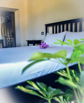 Arborea Bed & Breakfast | Experience Dimora Arborea: Pet-Friendly Stay & Dining