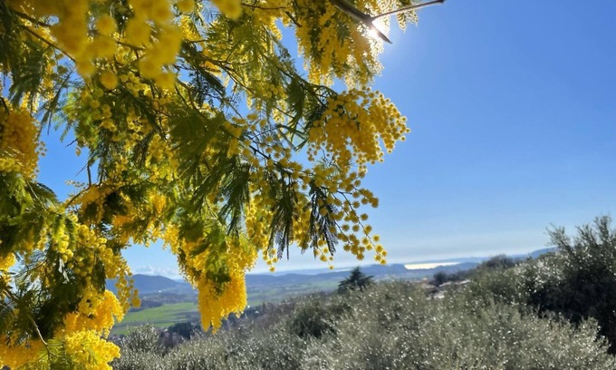 Bardolino Apartment | Elegant Stay at Dimora Borgo Gaon - Casa Elios with Lake Views