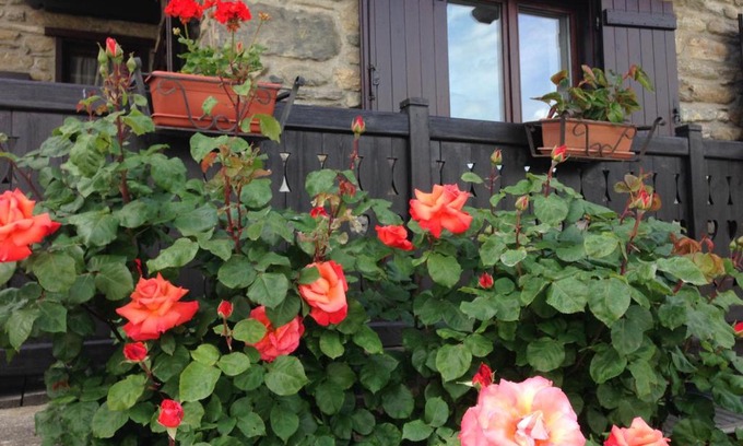 Introd House | Family-Friendly Retreat at Dimora tra le Alpi - Rated 9.4