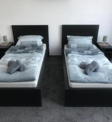Neumuenster Hotel | Budget-Friendly Dionysos: Pet and Child Friendly Stay
