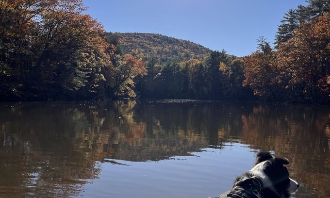 Hiram House | Riverside Retreat with Pool and Pet-Friendly Amenities