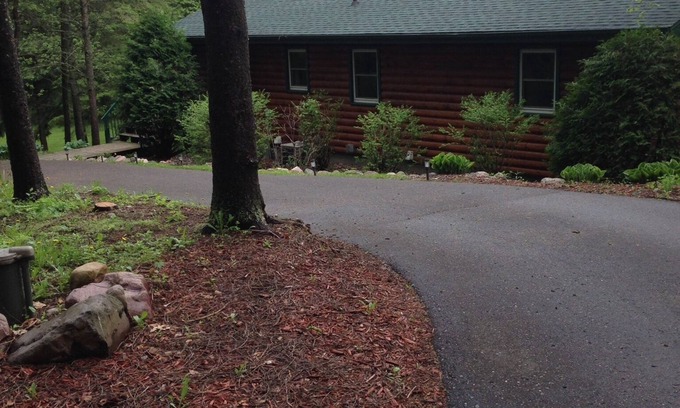 Birchwood Cabin | Family-Friendly Lake Cabin with Kitchen Amenities