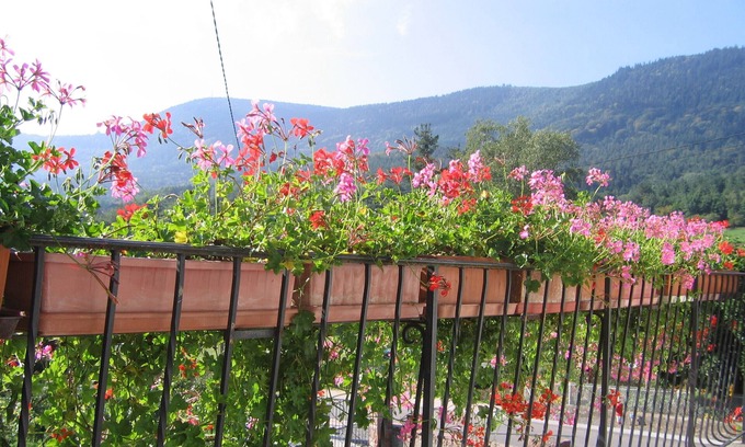 Neuve-Eglise Cottage | Experience Floralies in Scenic Val de Villé - Pet Friendly!