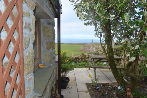 Penzance Apartment | Enchanting Distant Lights: Perfect for Pet Lovers, 10/10 Rated