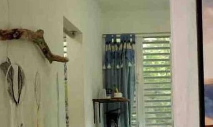 Islote House | Pet-Friendly DK Back Yard Surf Shack Apartment #2 Awaits