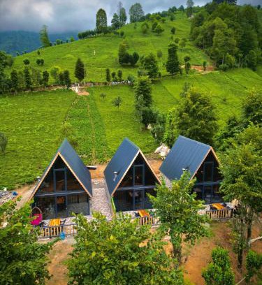 Ayder Ski Chalet | Unforgettable Doğallife Suit Bungalow with Hot Tub Access
