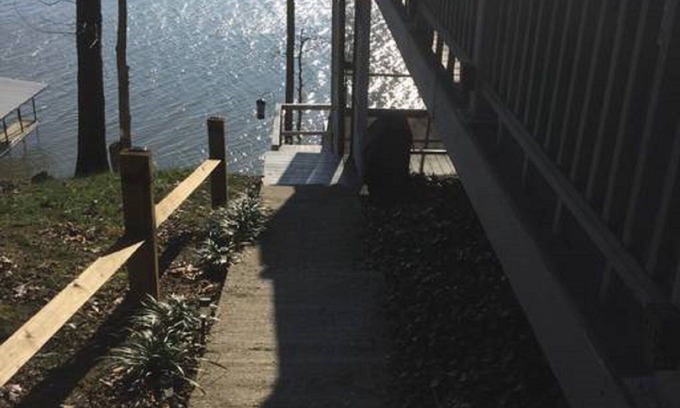 New Concord Cottage | Pet-Friendly Cottage with Lake View at Kentucky Lake