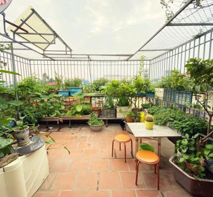 Van Mieu Apartment | Discover Doctor Homestay 6: Wheelchair Accessible Comfort