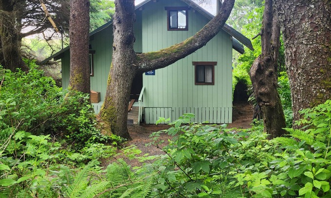 Copalis Beach House | Pet-Friendly Beachfront Cabin with Ocean Views and Spa