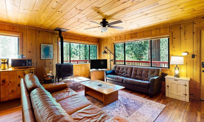 Black Bart House | Pet-Friendly Mountainview Cabin with Free WiFi & Room to Roam