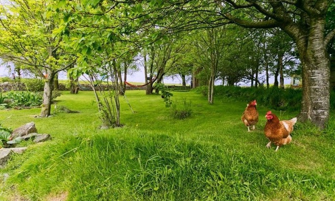Malltraeth Apartment | Cozy Dog House with Ocean View and Breakfast Included