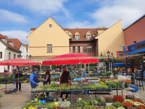 Donji Grad Apartment | Explore Dolac Guesthouse: Family-Friendly Stay with Kitchen
