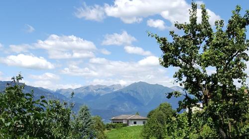 Predaia Apartment | Idyllic Dolomites White Rest Tres OSPITAR with Kitchen Access