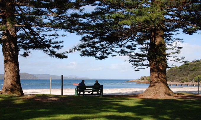Middleton Beach Apartment | Relaxing Dolphin Lodge with Oceanfront Pool & Breakfast