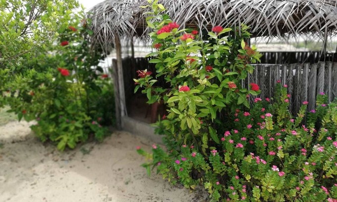 Kandakuliya House | Discover Dolphin Wadiya: Rated 9.6 with Spa & Dining Options